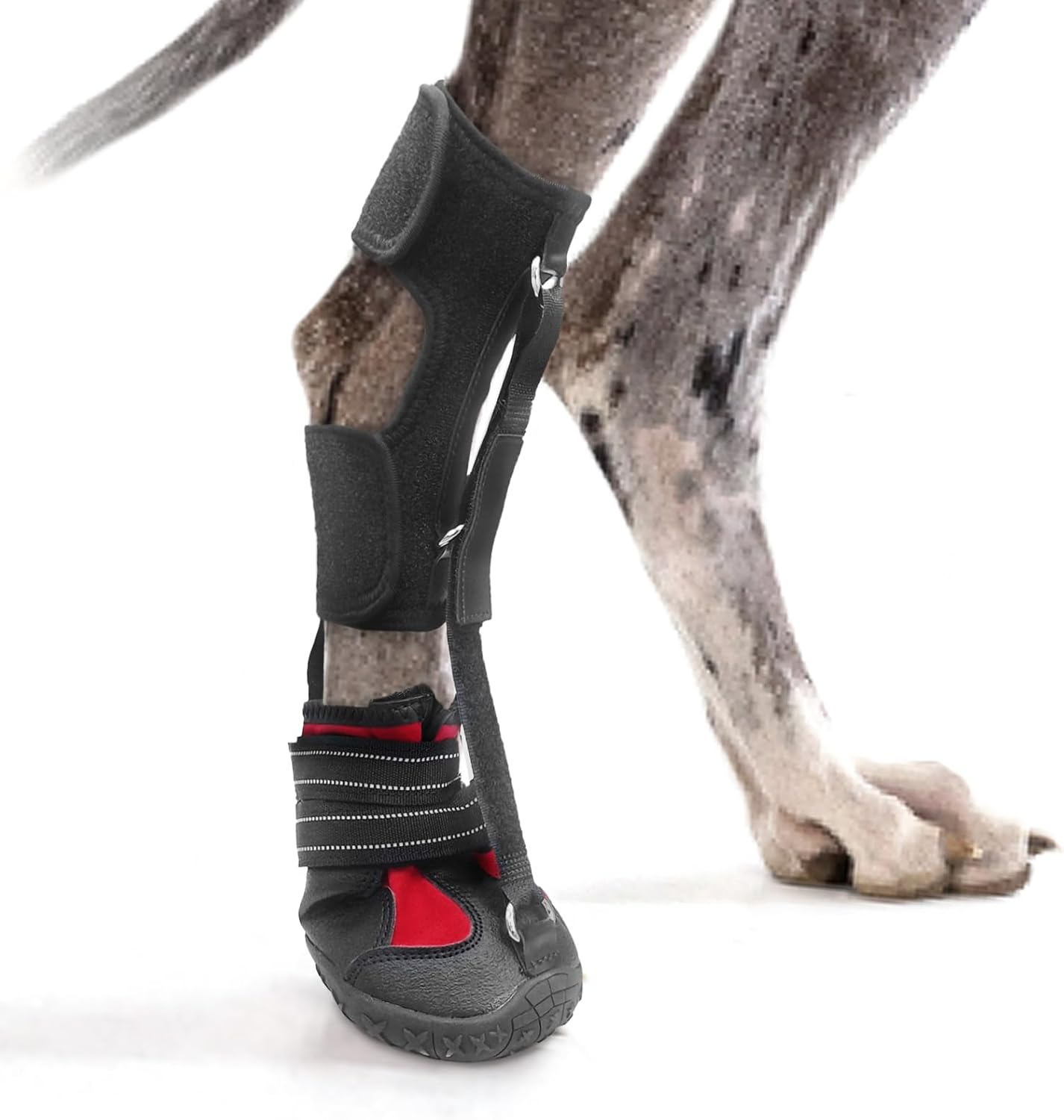 Strap-On Drop Foot Brace for Dogs - Supportive Orthopedic Shoes