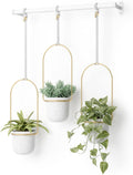 Umbra Triflora Hanging Planter for Window - Set of 3
