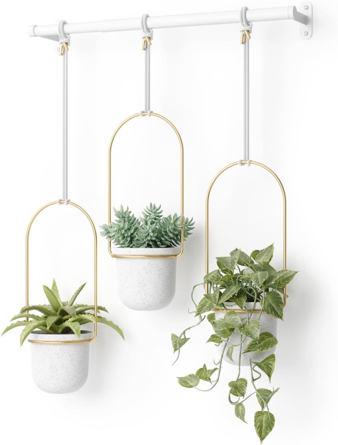 Umbra Triflora Hanging Planter for Indoor Herb Garden Display