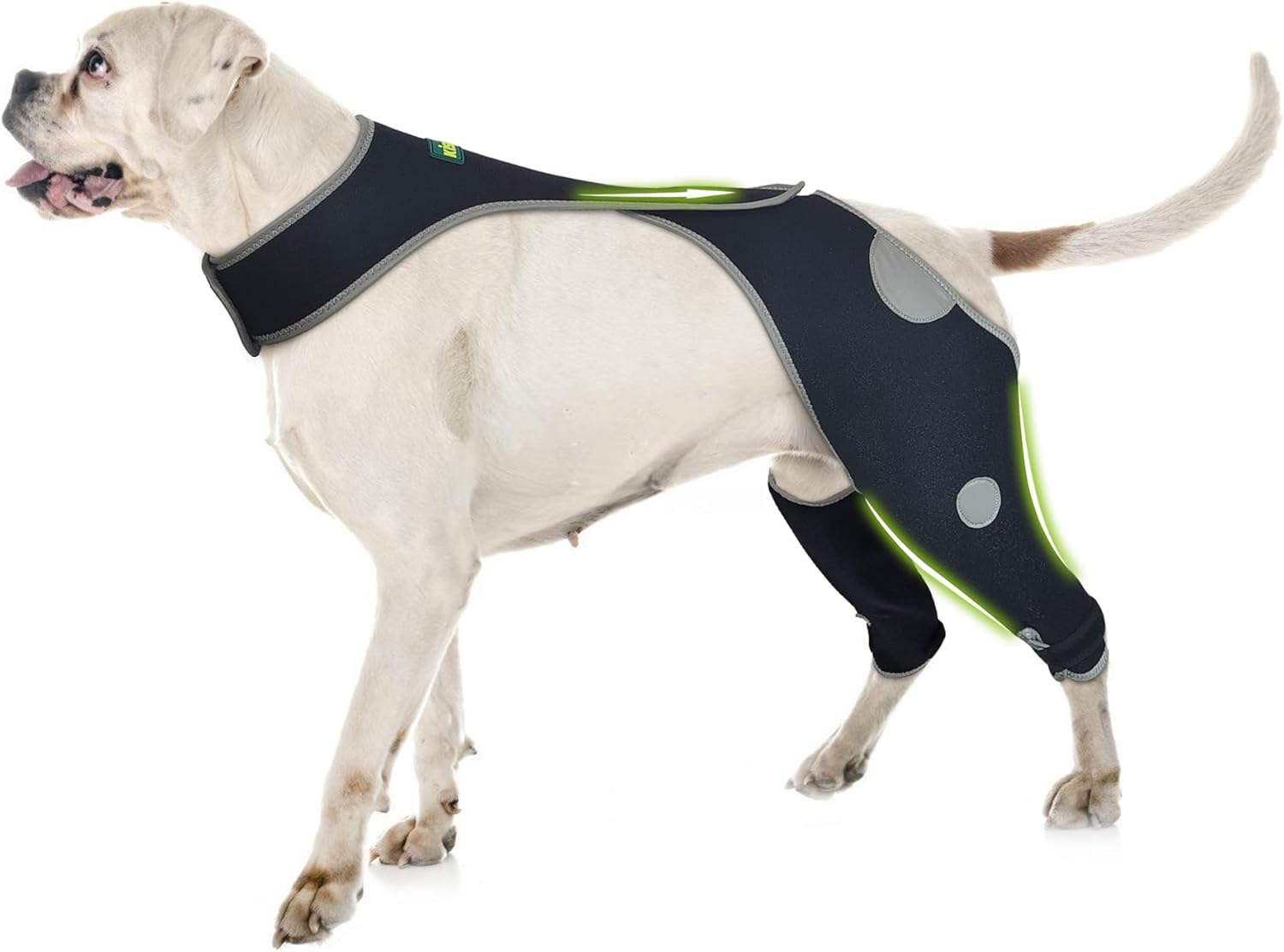 Dog Recovery Sleeve for Hind Leg Protection and Comfort
