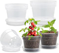 Clear Nursery Pots 9 Pack 6/7/8 in with Saucers - Transparent Grow Set