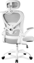 Ergonomic Office Chair with Headrest 3D - Adjustable Lumbar Support