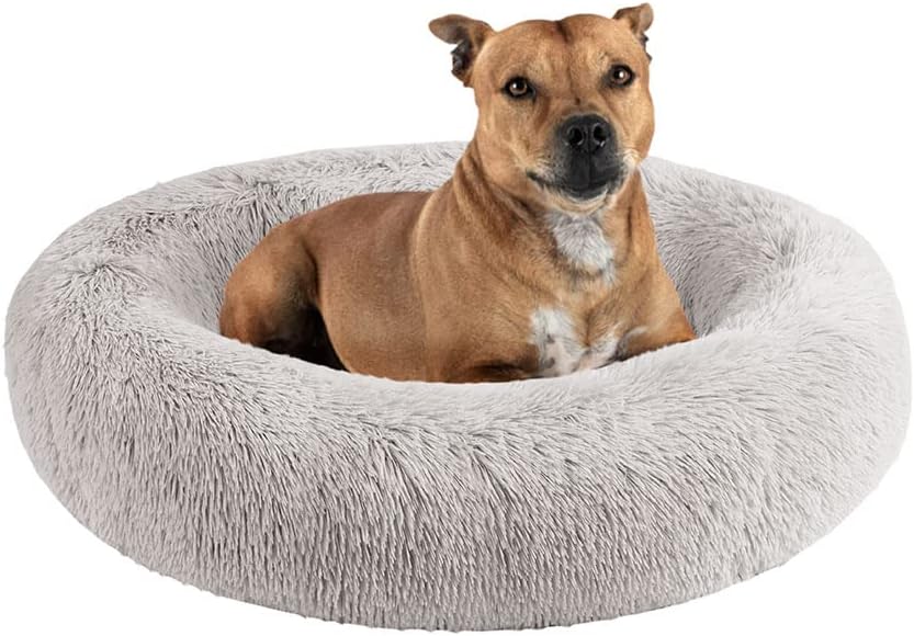 Friends Forever Serena Donut Memory Foam Orthopedic Dog Bed