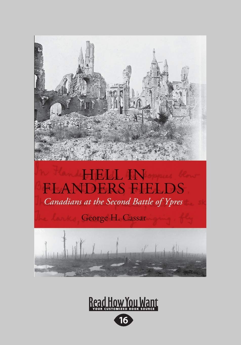 Canadians at the Second Battle of Ypres in Flanders Fields