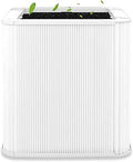 Blue 211+ Replacement Filter 1 Pack - Foldable Activated Carbon HEPA