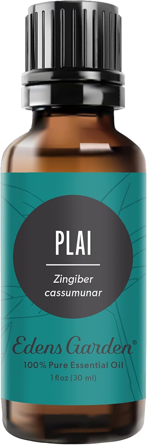 Plai Essential Oil - 100% Pure, Natural, Therapeutic Aroma