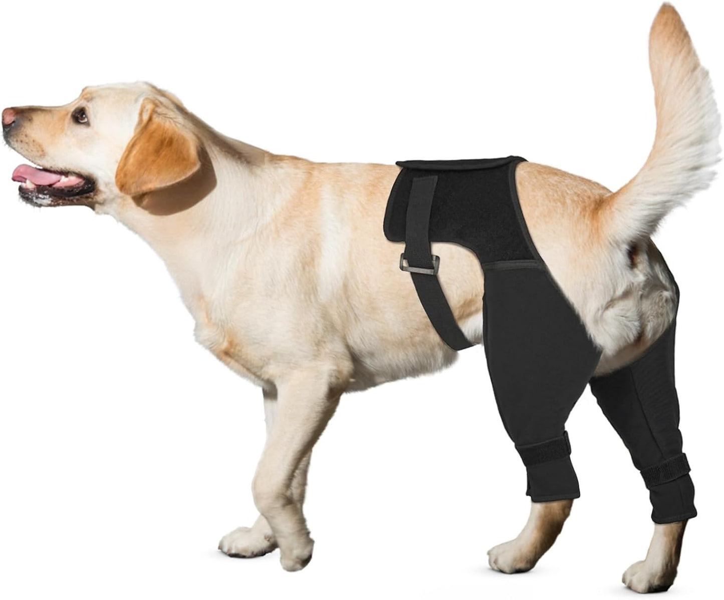 Dog Recovery Sleeve for Rear Leg - Comfortable & Breathable