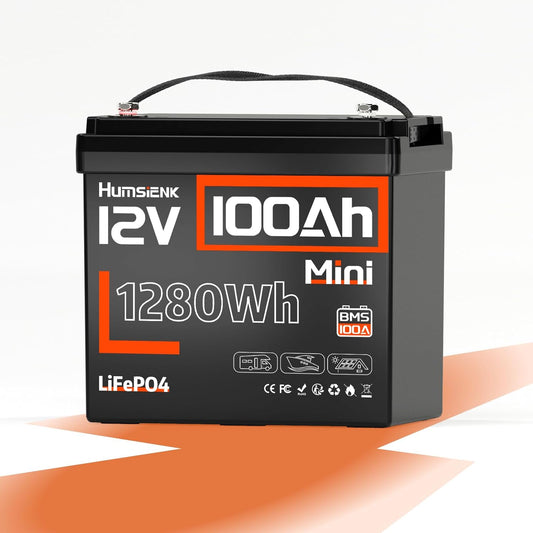 12V 100Ah Mini LiFePO4 Battery for RVs and Off-grid Living