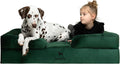 NOAH & PAW XL Dog Bed 45x35x11 in - Orthopedic Support for Large Dogs