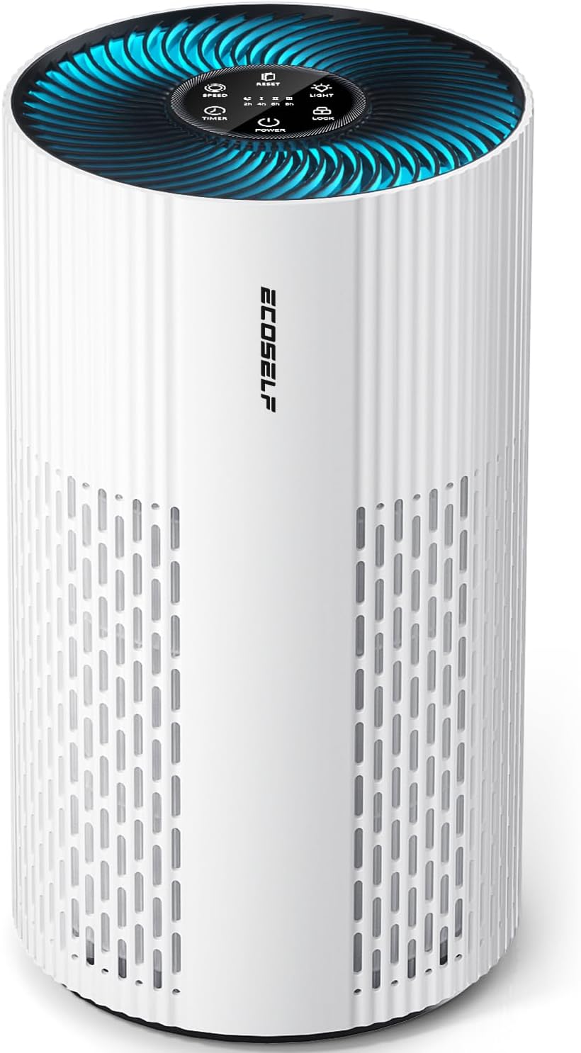 Air Purifiers for Home Large Room with True HEPA Filter