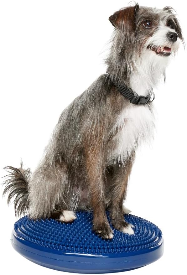 FitPAWS Dog Balance Disc 14 in Blue for Core Strength Training