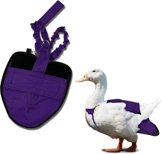 Secure-fit Duck Diaper - Easy Wear, Durable Design