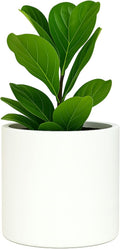 Fox & Fern Large 12 Inch Plant Pot with Hidden Saucer - Lightweight