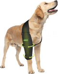 Dog Front Leg Brace for Osteoarthritis and Injury Prevention