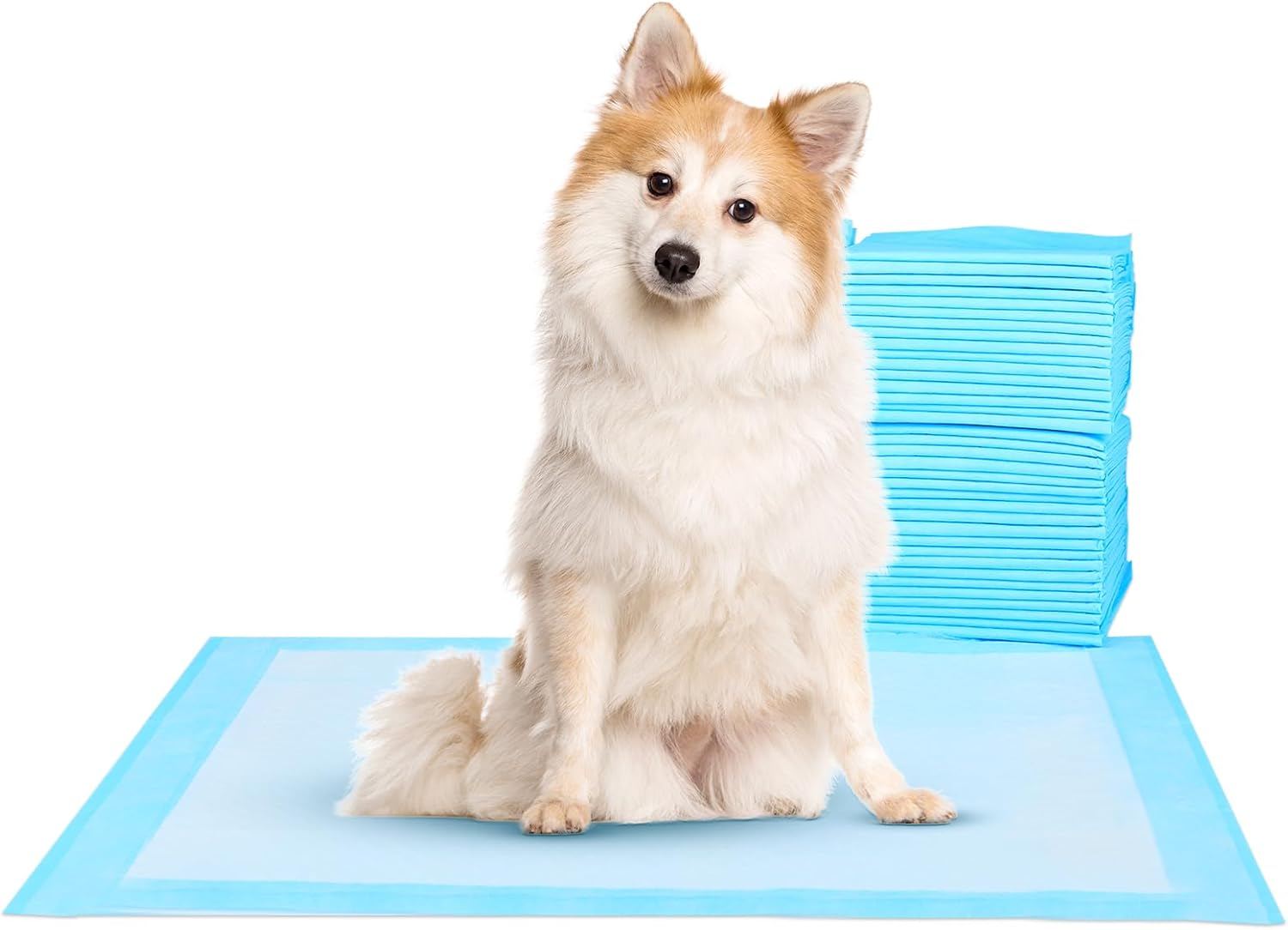 Super-Absorbent Waterproof Dog Training Pads for Housebreaking
