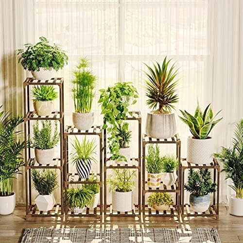 Bamworld 5 Sets of Package Plant Stand Combo for Indoor Use