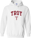 UGP Campus Apparel NCAA Team Color Arch Logo Hoodie (Style 4SCK)