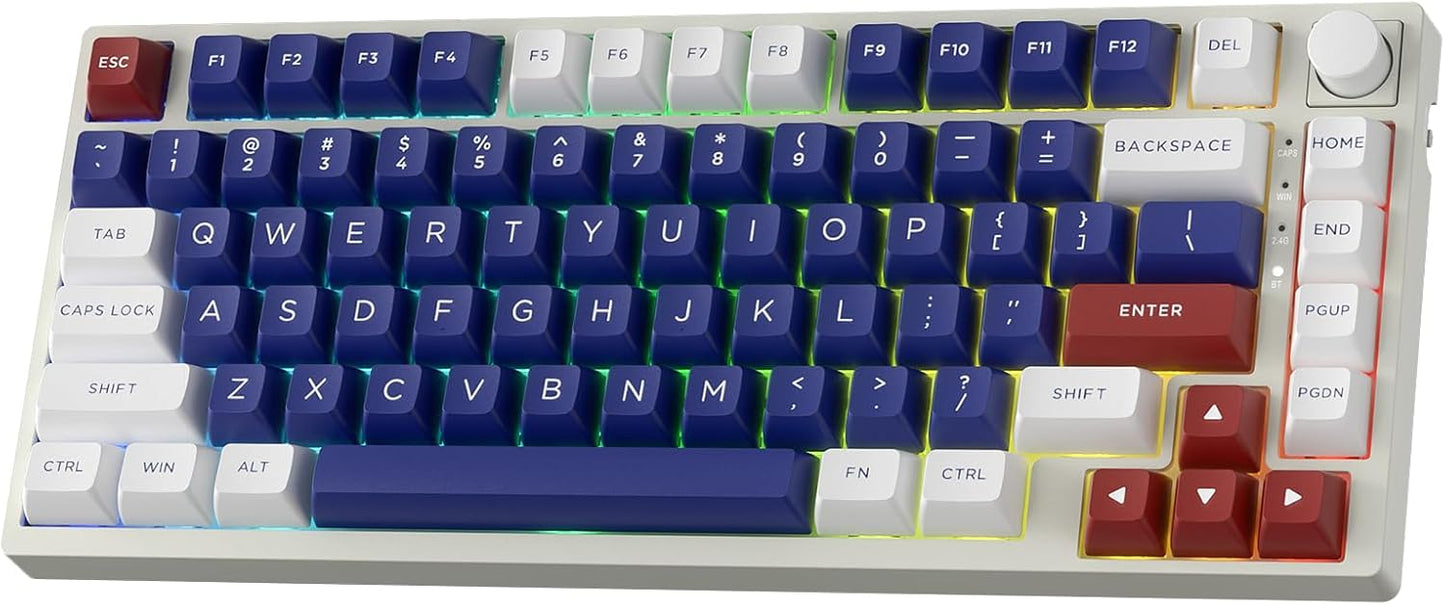 LTC Nimbleback NB831 Wireless 75% Mechanical Gaming Keyboard