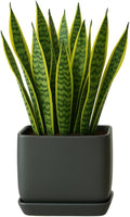 Ceramic Cube Plant Pot with Drainage and Saucer - Matte Cool Grey