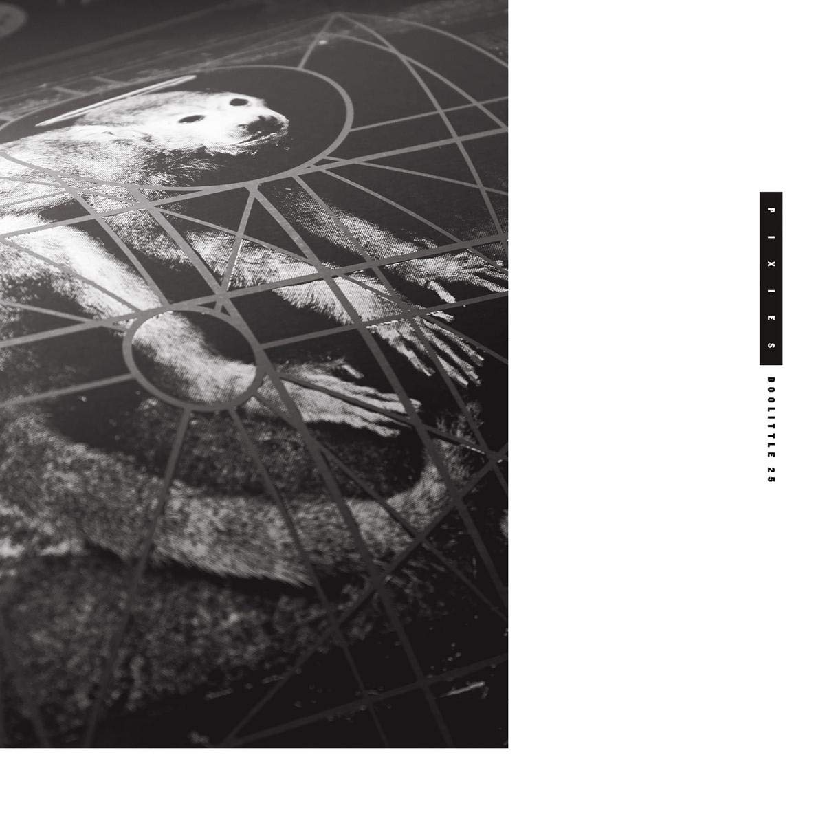 Doolittle 25: B-Sides, Peel Sessions And Demos Review