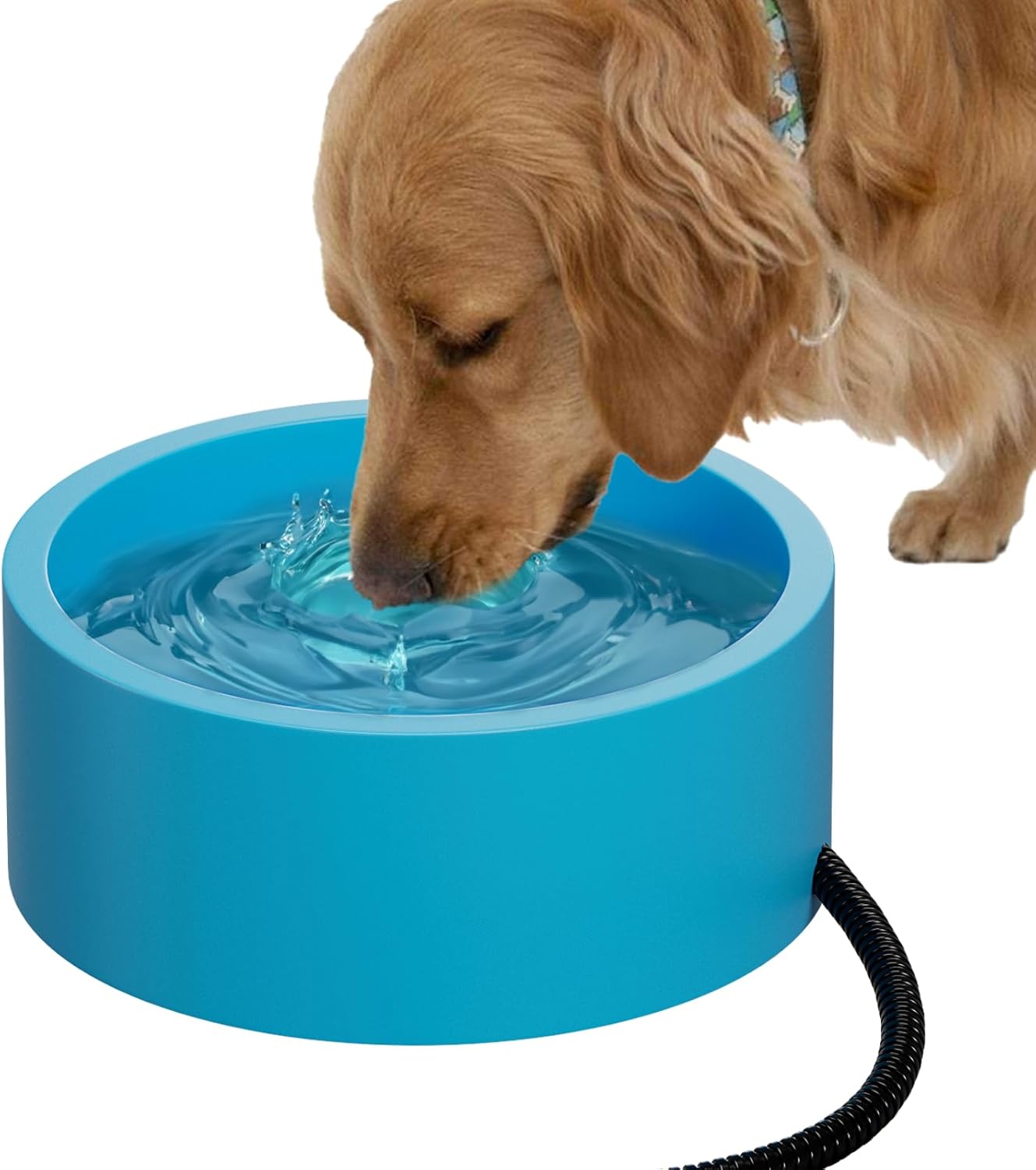 Waterproof Heated Pet Bowl for Dogs & Cats - Smart Winter Solution!