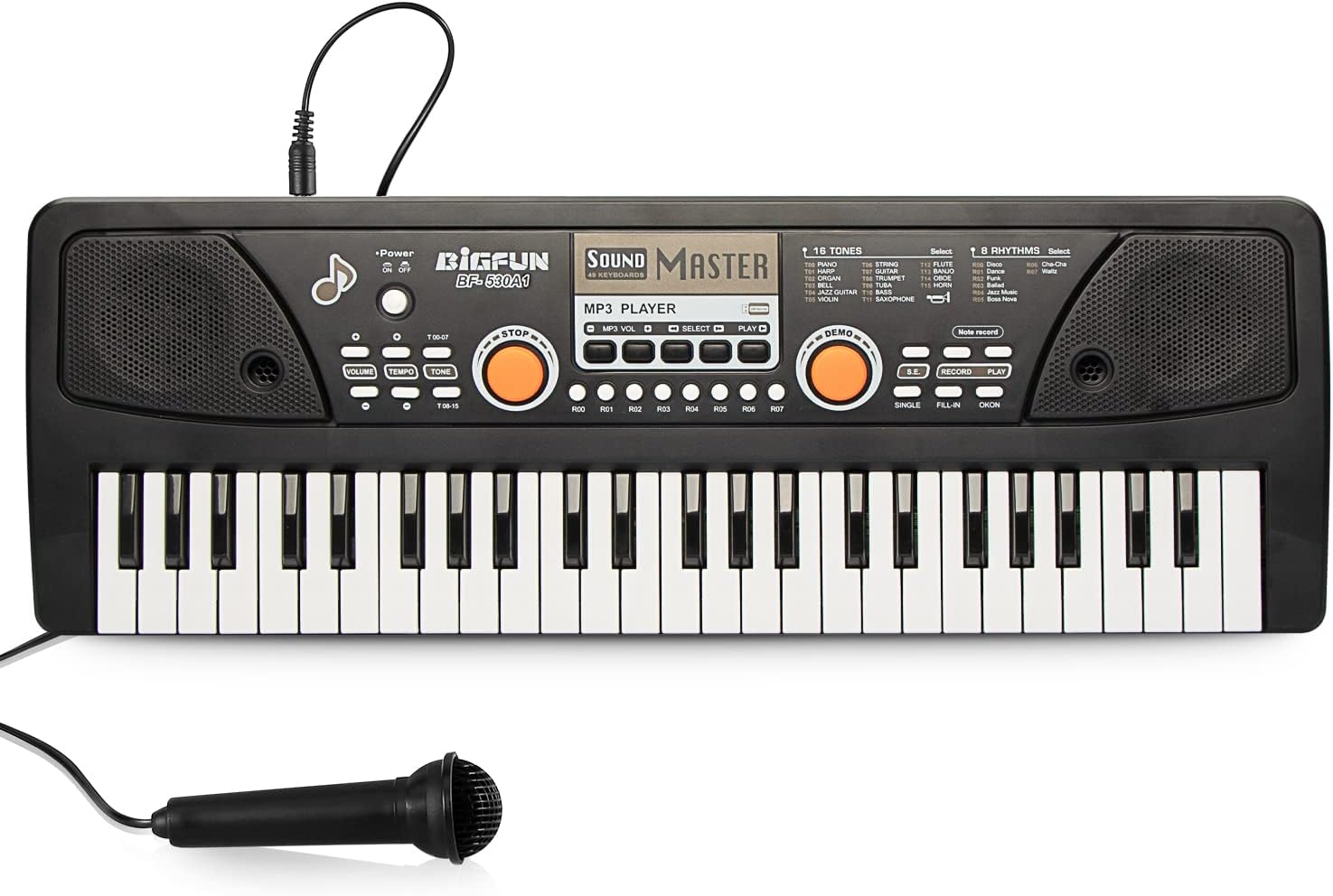 Raimy 49 Keys Portable Keyboard Piano for Kids - Fun Learning