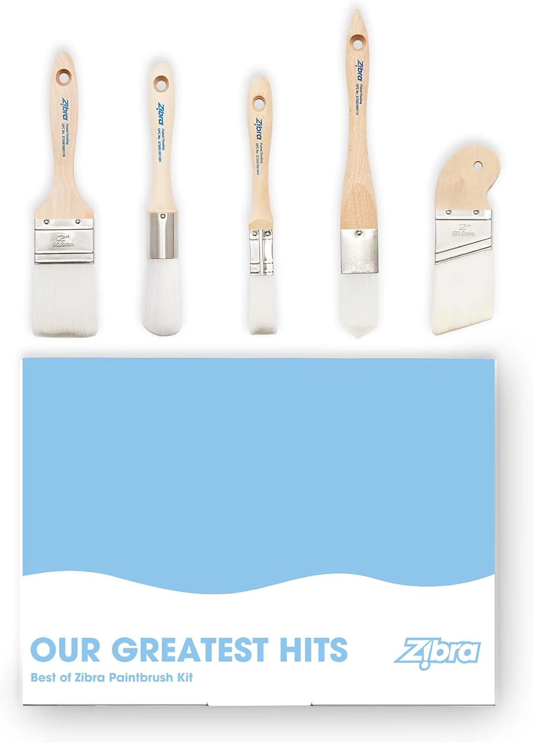 Zibra 5-Piece DIY Paint Brush Set for Home Painting Projects