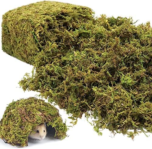 Artificial Fake Moss for Indoor Plants - Premium Craft Decor