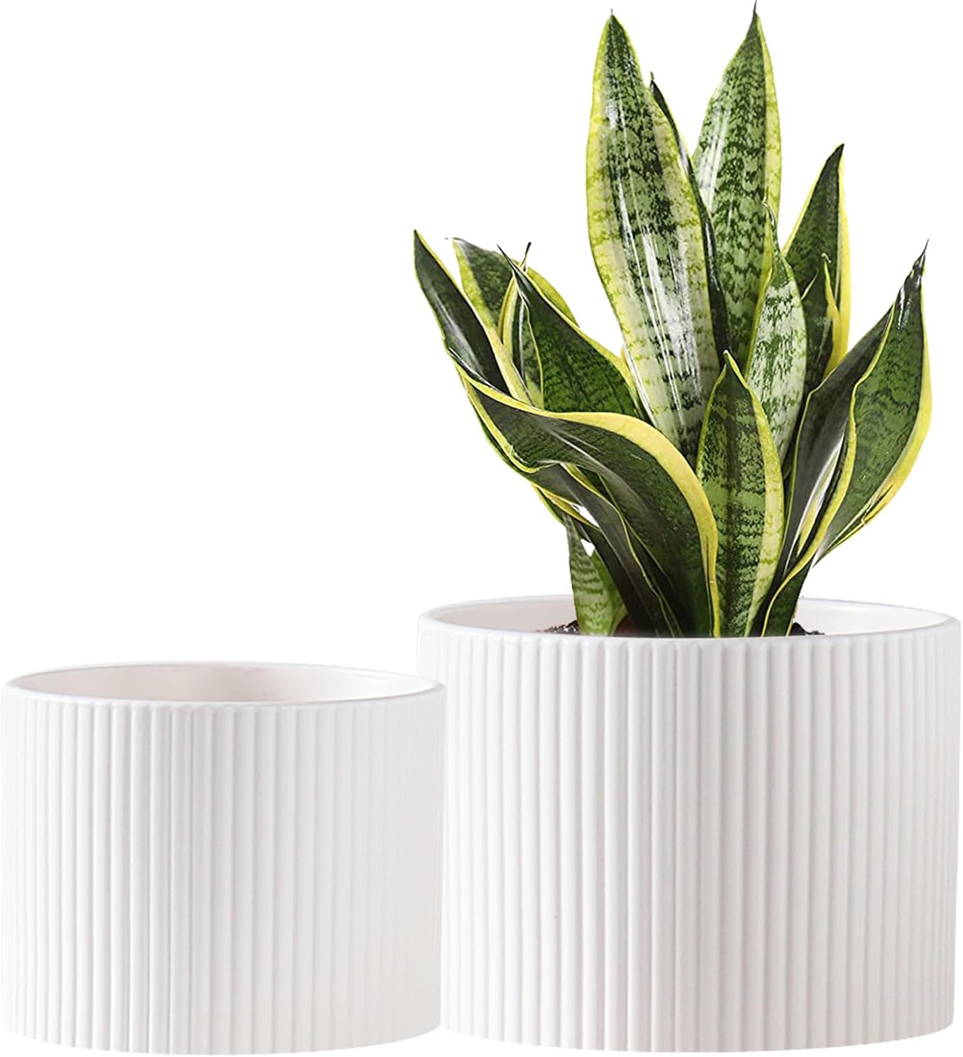 Durable Ceramic Plant Pots for Indoor Plants, Modern Design
