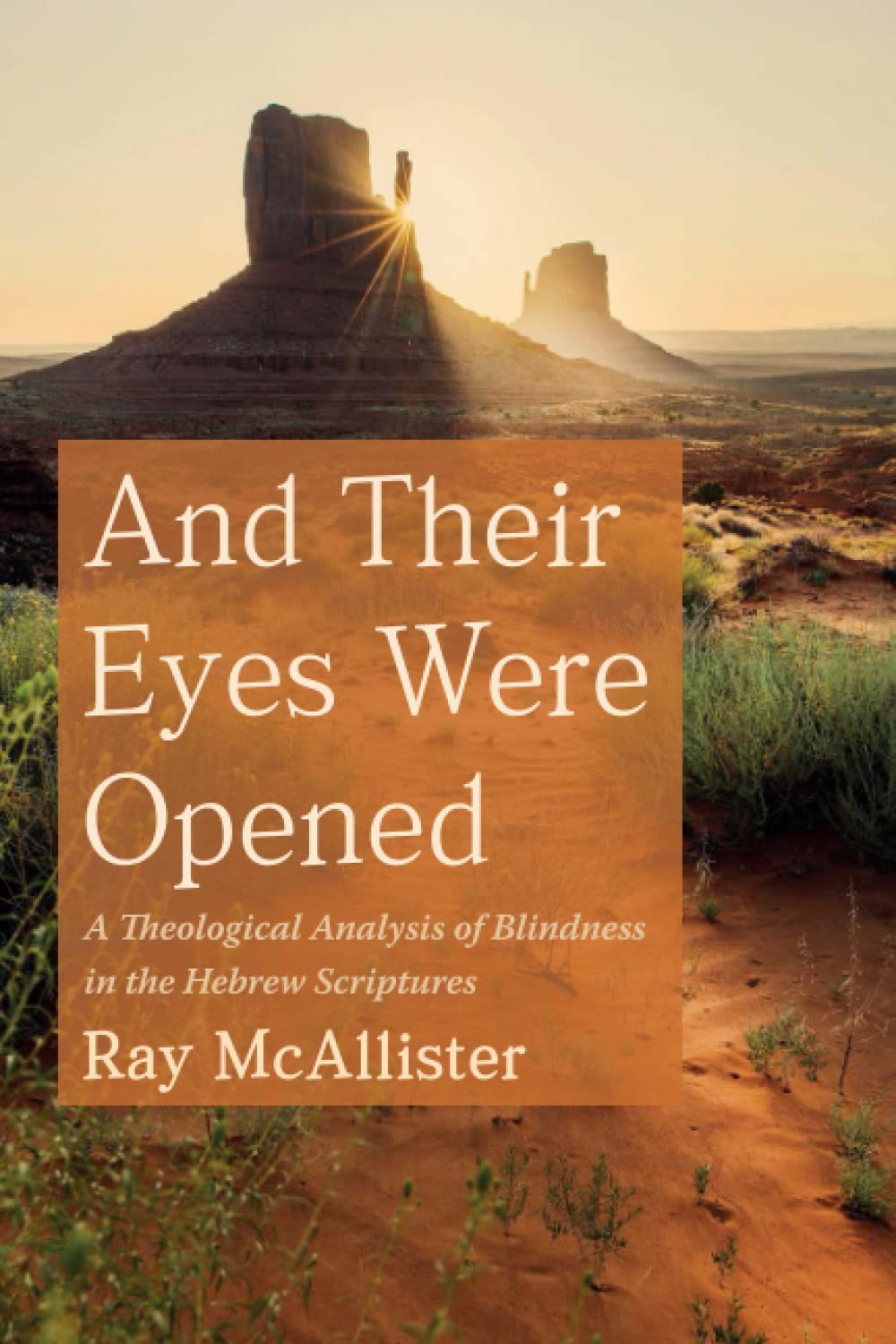 Theological Analysis of Blindness in Hebrew Scriptures Book Review