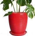 Ceramic Pot for Plants 8 in Round Planter - Modern Red Indoor/Outdoor