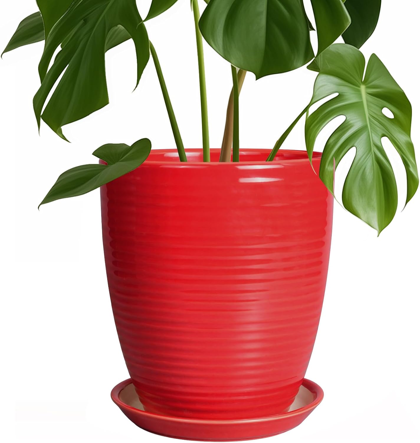Ceramic Pot for Plants - 8 Inch Modern Flower Pot with Saucer