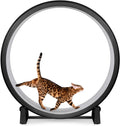 Cat Exercise Wheel 48in - Safe Indoor Running Wheel for Cats