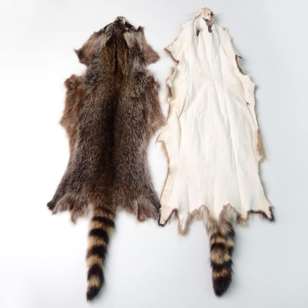 Natural Tanned Raccoon Fur Hide by ZSCYD-yingda1992