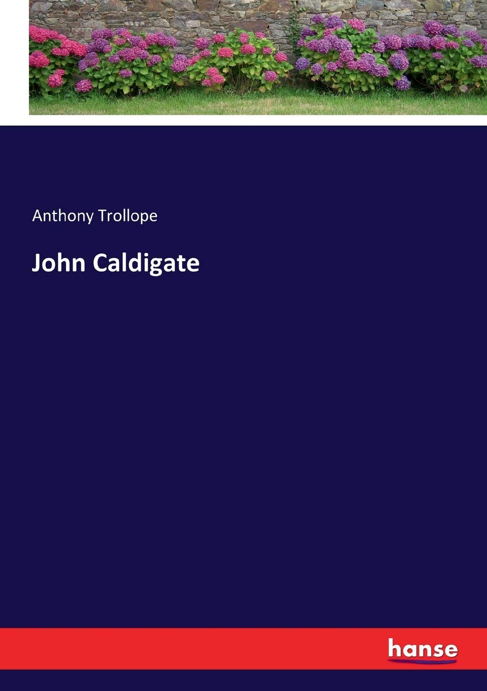 John Caldigate by Anthony Trollope - A Captivating Novel Experience