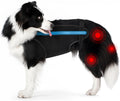 Dog Recovery Anti-Lick Protection Suit - Soft Surgical Vest