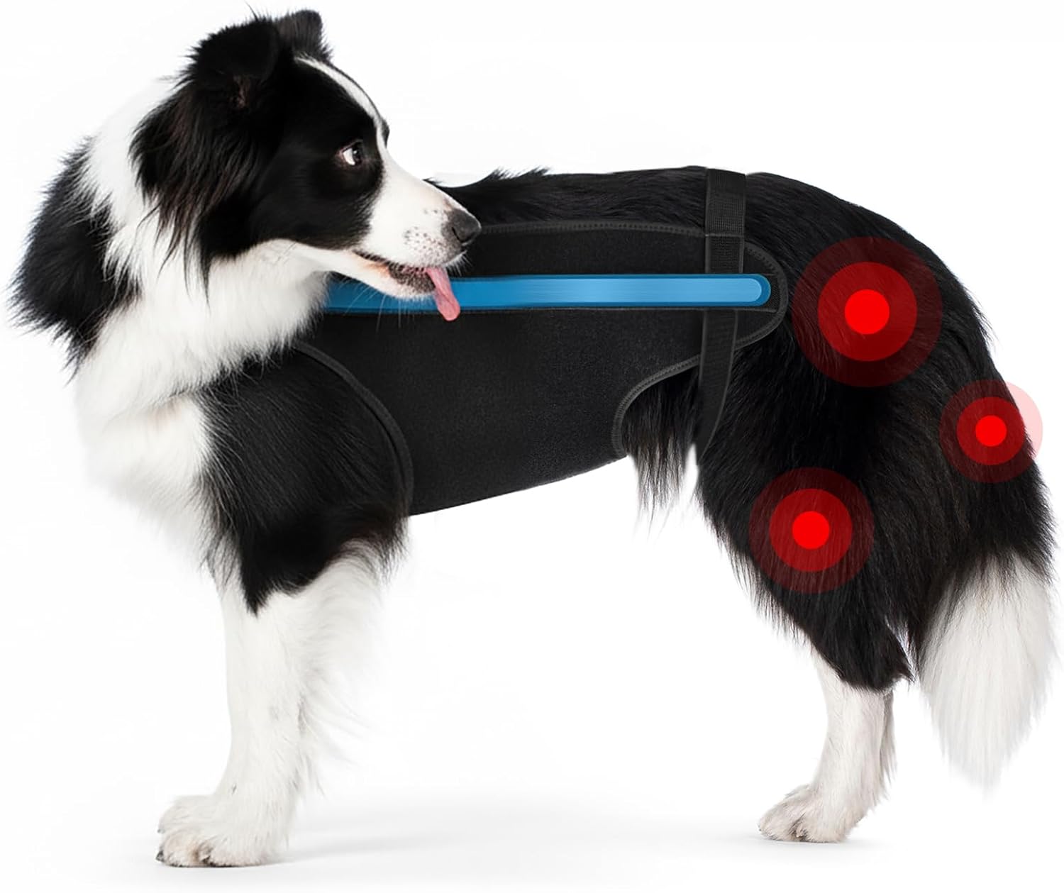 Dog Recovery Anti-Lick Protection Suit for Post-Surgery Comfort