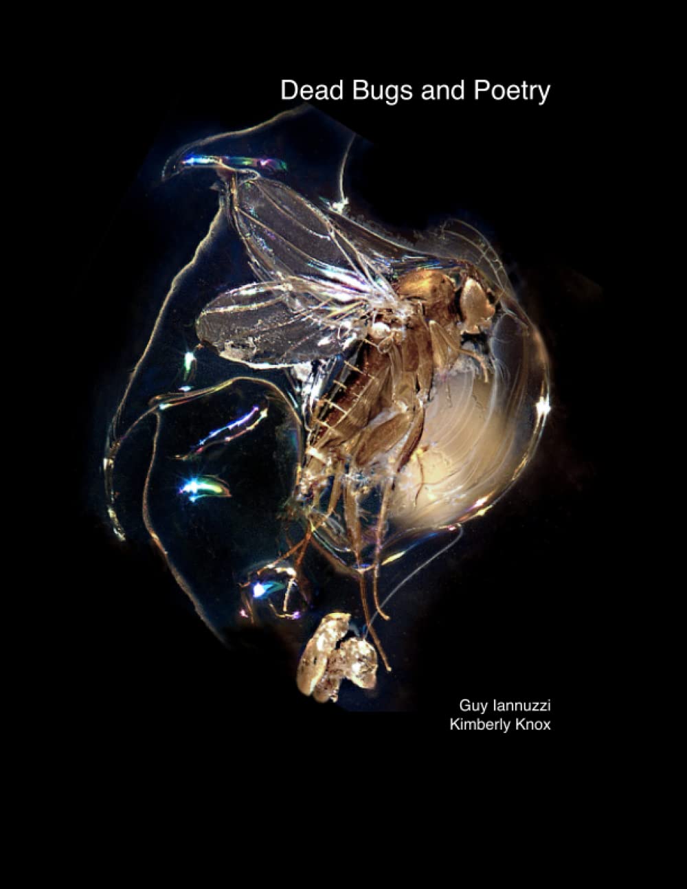 Dead Bugs and Poetry by Guy Iannuzzi and Kimberly Knox