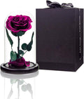 Preserved Roses Purple Roses in Glass Dome, Medium - Timeless Gift