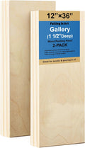 Falling in Art 12x36 Wooden Canvas Panels 2 Pack - 1 1/2ft Deep