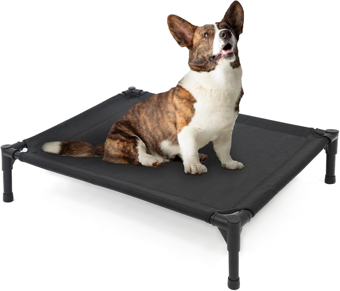 Elevated Dog Bed for Medium Dogs - Heavy Duty Pet Cot