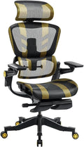 HINOMI H1 Pro V2 Ergonomic Office Chair - Ultimate Comfort & Support
