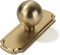 khtumeware Heavy Duty Solid Backplate 10-Pack Brushed Brass - Durable