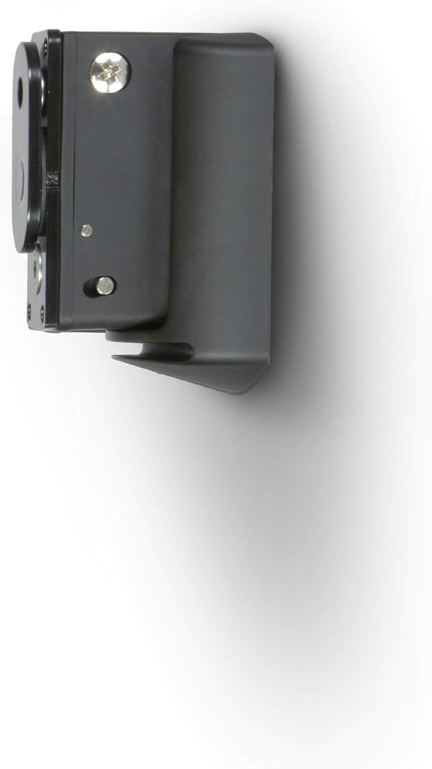 Bluesound WM 100 Wall Mount for Pulse Flex - Perfect Fit and Style