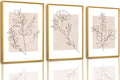 Floral Line Framed Canvas Wall Art Set - Neutral Botanical Wall Decor