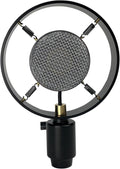 Antique Vintage Classical Theater Speech Live Vocal 26mm Condenser