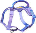 No Pull Martingale Dog Harness Rainbow 1in - Gentle Control for Walks