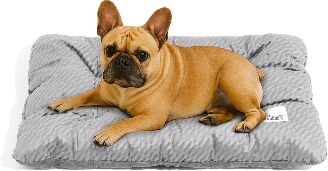 Funny Fuzzy 2 in 1 Dog Bed Mat for Ultimate Pet Comfort
