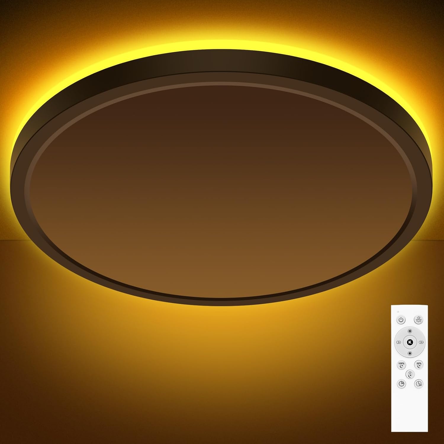 19 Inch LED Ceiling Light with Remote Control for Any Room