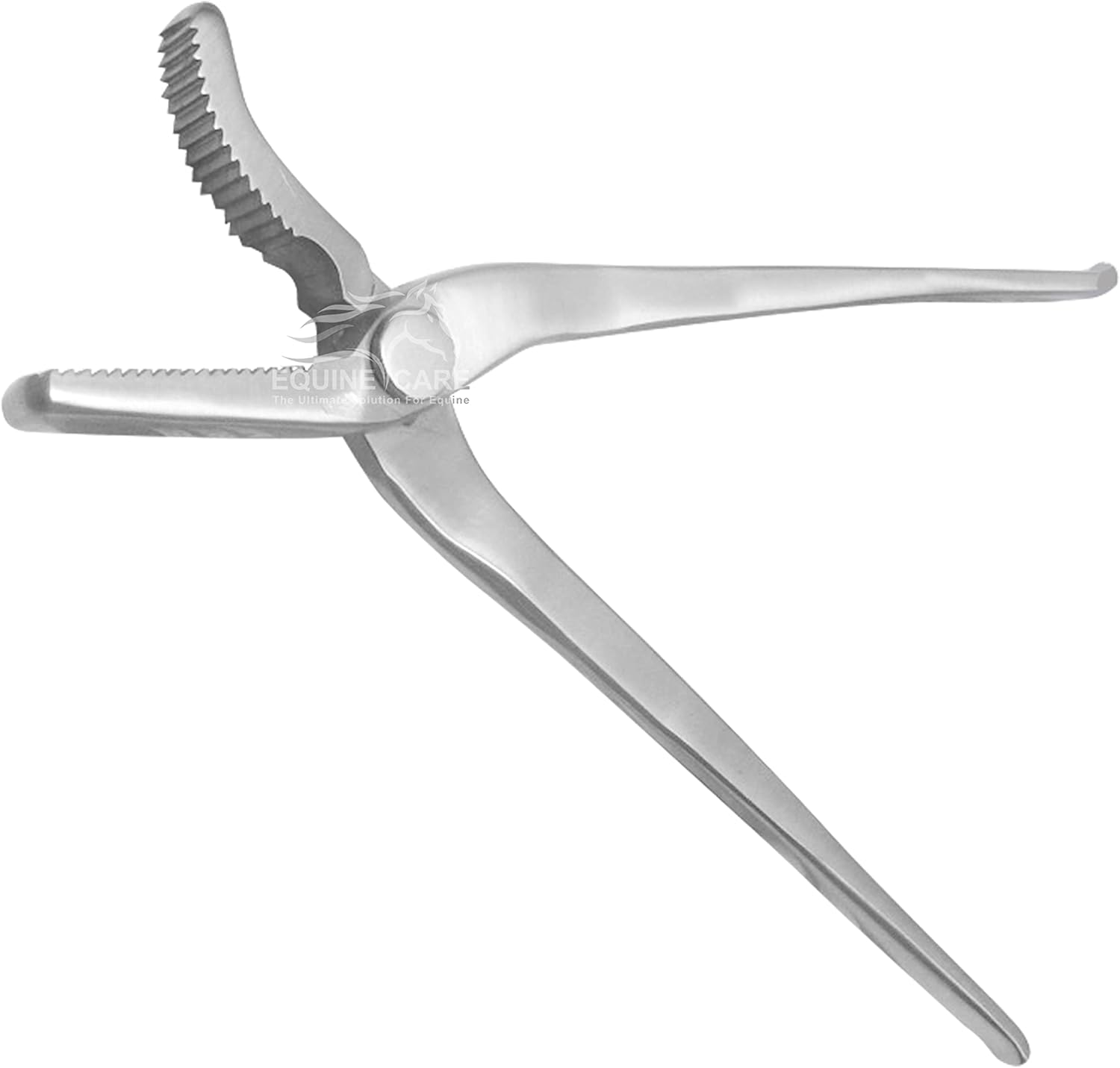 Professional 12-Inch Hoof Clincher Tool for Farriers & Vets